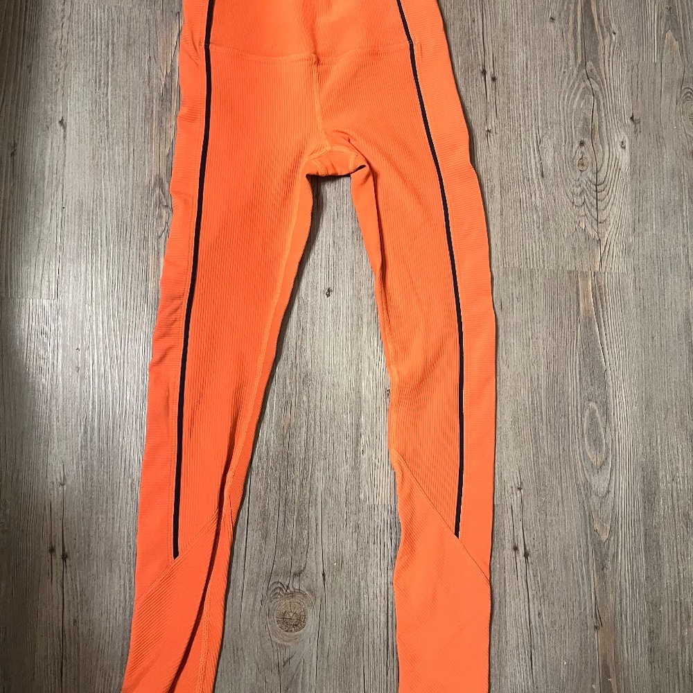 Zyia robbed light n tights